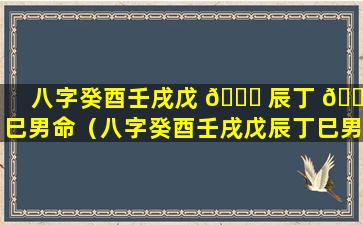 八字癸酉壬戌戊 🐘 辰丁 🌲 巳男命（八字癸酉壬戌戊辰丁巳男命怎么样）